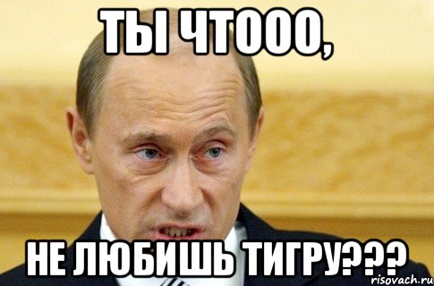 ТЫ ЧТООО, НЕ ЛЮБИШЬ ТИГРУ???, Мем путин