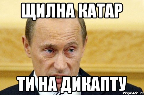 Щилна катар ти на дикапту, Мем путин