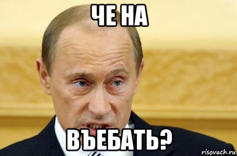 ЧЕ НА ВЪЕБАТЬ?, Мем путин