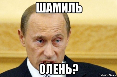 шамиль олень?, Мем путин