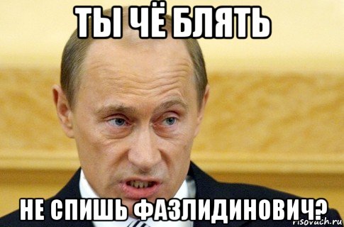 ты чё блять не спишь фазлидинович?, Мем путин