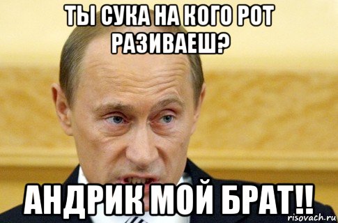 ты сука на кого рот разиваеш? андрик мой брат!!, Мем путин