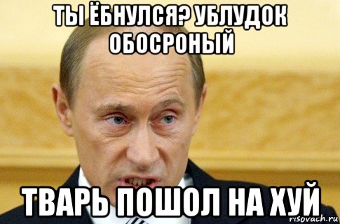 ты ёбнулся? ублудок обосроный тварь пошол на хуй, Мем путин