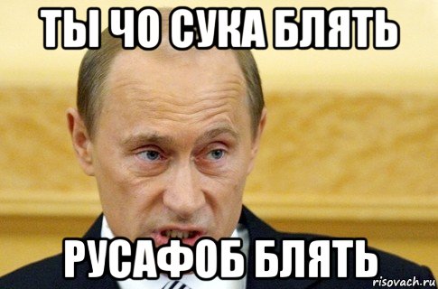 ты чо сука блять русафоб блять, Мем путин