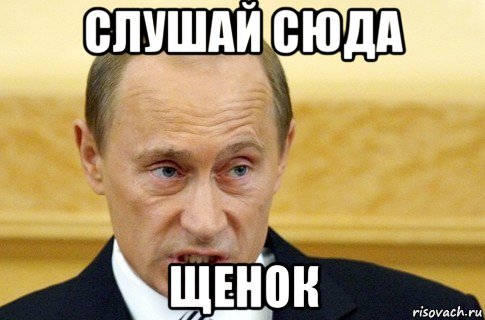 слушай сюда щенок, Мем путин