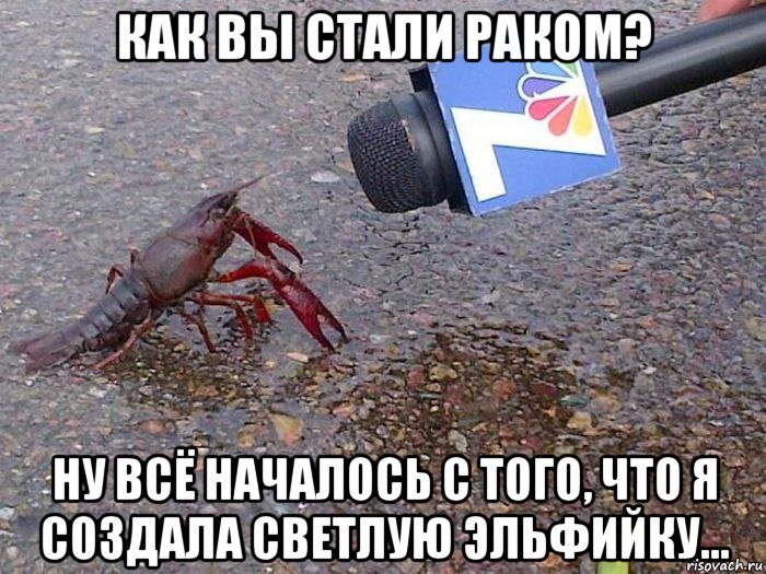 Как вы стали раком? Ну всё началось с того, что я создала светлую эльфийку...