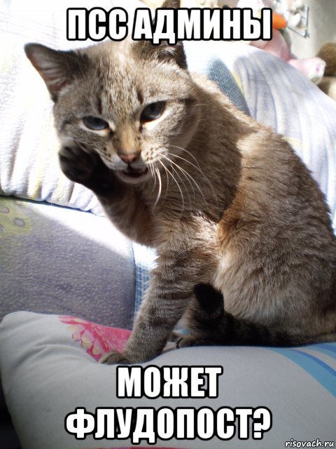 псс админы может флудопост?, Мем rr