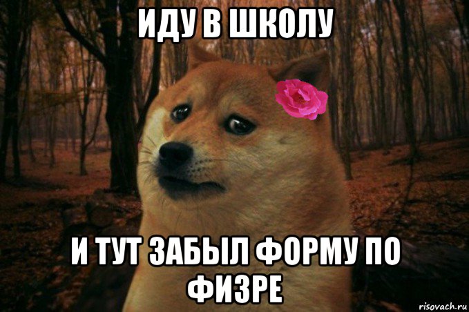 иду в школу и тут забыл форму по физре, Мем  SAD DOGE GIRL