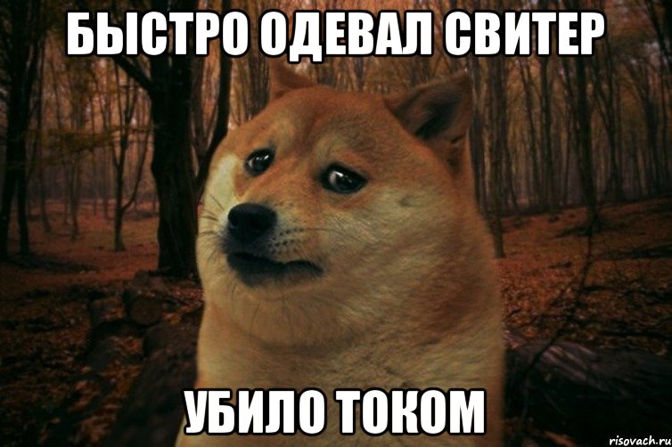 Быстро одевал свитер убило током, Мем SAD DOGE