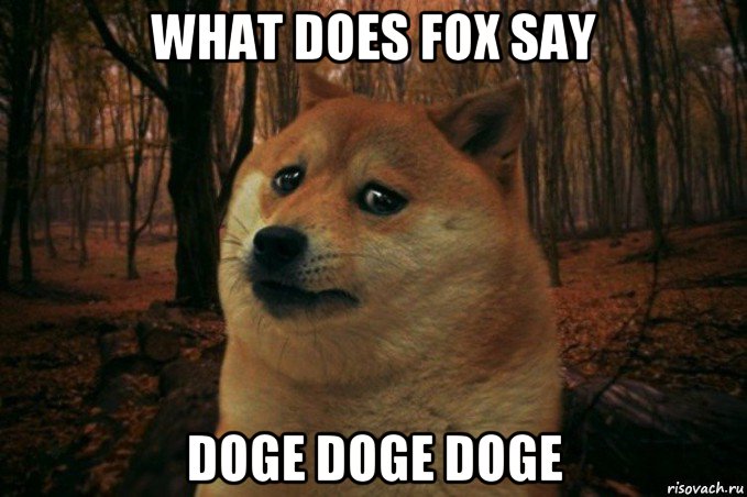 what does fox say doge doge doge, Мем SAD DOGE