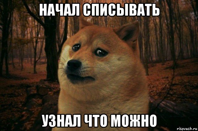 начал списывать узнал что можно, Мем SAD DOGE