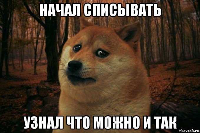 начал списывать узнал что можно и так, Мем SAD DOGE