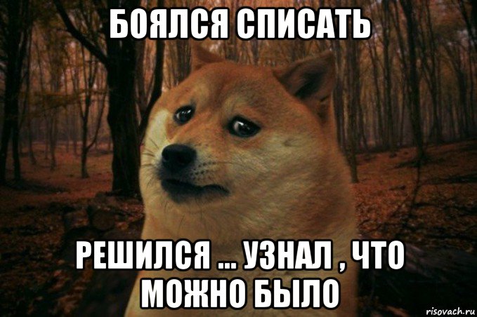 боялся списать решился ... узнал , что можно было, Мем SAD DOGE