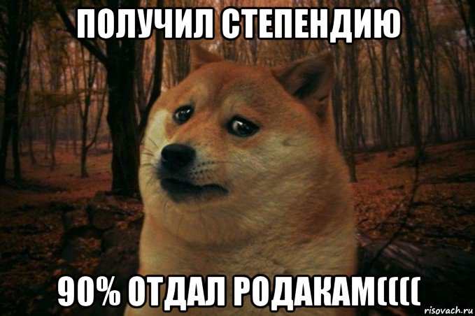 получил степендию 90% отдал родакам((((, Мем SAD DOGE