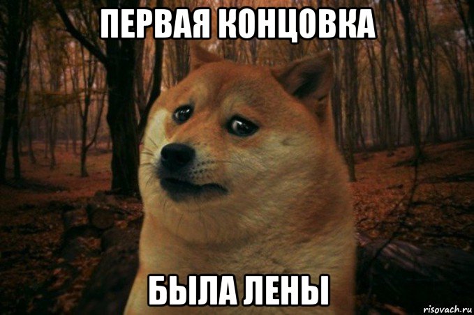 первая концовка была лены, Мем SAD DOGE