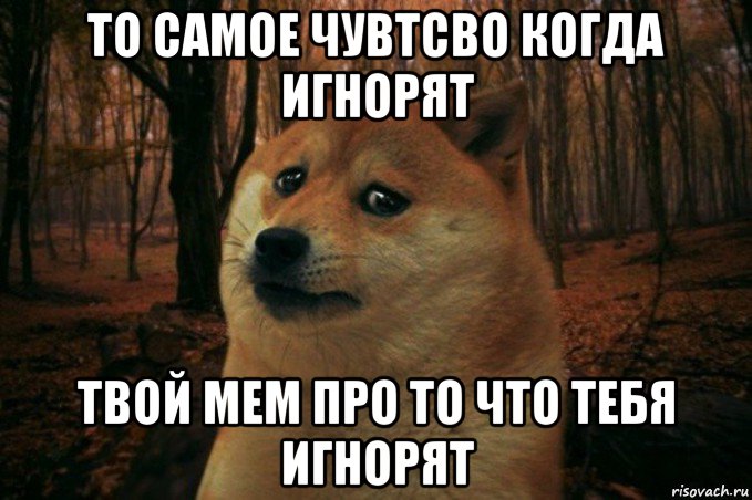 то самое чувтсво когда игнорят твой мем про то что тебя игнорят, Мем SAD DOGE