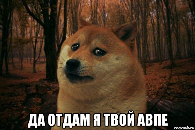  да отдам я твой авпе, Мем SAD DOGE