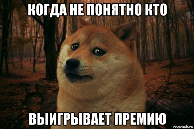 когда не понятно кто выигрывает премию, Мем SAD DOGE