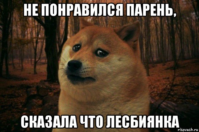 не понравился парень, сказала что лесбиянка, Мем SAD DOGE