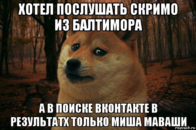 хотел послушать скримо из балтимора а в поиске вконтакте в результатх только миша маваши, Мем SAD DOGE