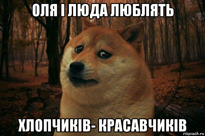 оля і люда люблять хлопчиків- красавчиків, Мем SAD DOGE