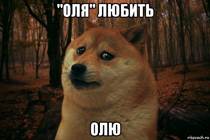 "оля" любить олю, Мем SAD DOGE