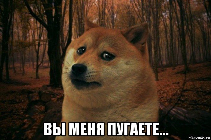  вы меня пугаете..., Мем SAD DOGE