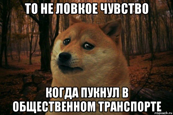 то не ловкое чувство когда пукнул в общественном транспорте, Мем SAD DOGE