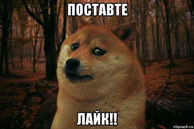 поставте лайк!!, Мем SAD DOGE