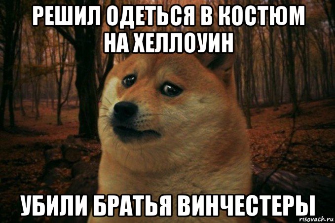 решил одеться в костюм на хеллоуин убили братья винчестеры, Мем SAD DOGE