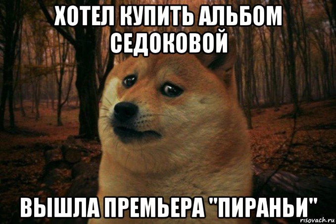 хотел купить альбом седоковой вышла премьера "пираньи", Мем SAD DOGE