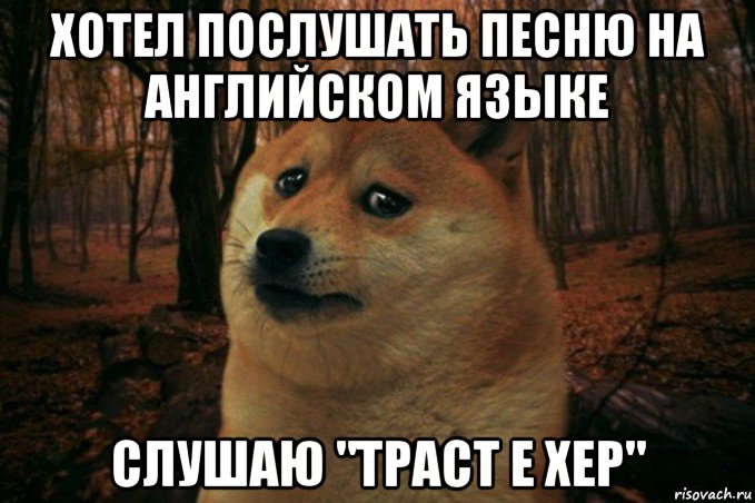 хотел послушать песню на английском языке слушаю "траст е хер", Мем SAD DOGE