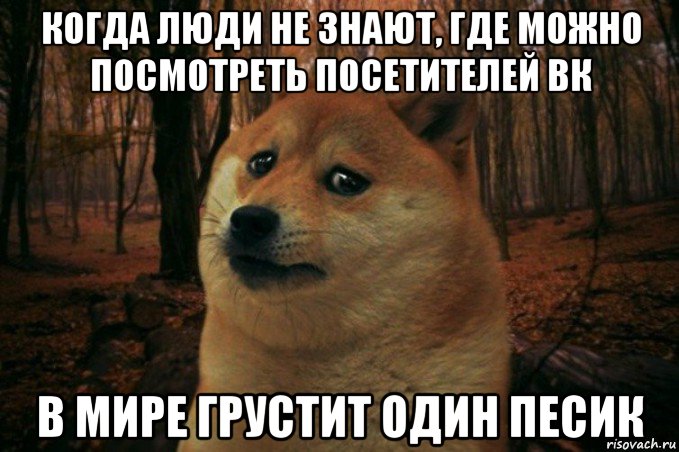 когда люди не знают, где можно посмотреть посетителей вк в мире грустит один песик, Мем SAD DOGE