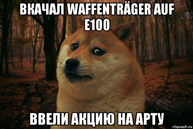 вкачал waffenträger auf e100 ввели акцию на арту, Мем SAD DOGE