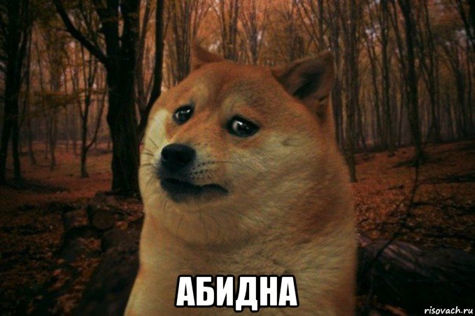  абидна, Мем SAD DOGE