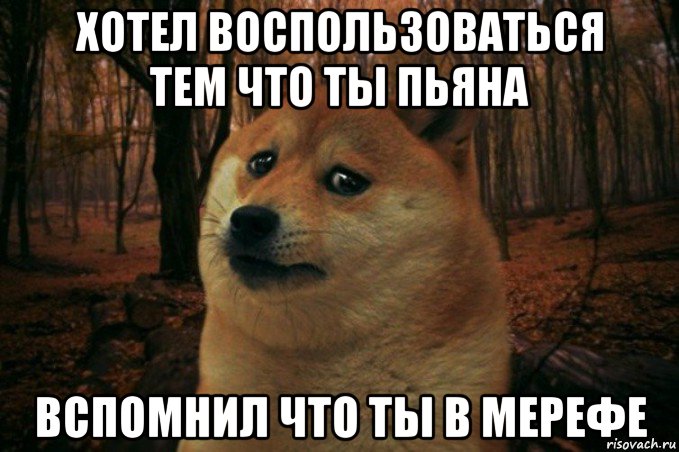 хотел воспользоваться тем что ты пьяна вспомнил что ты в мерефе, Мем SAD DOGE