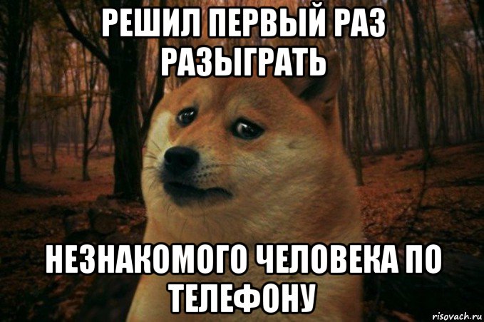 решил первый раз разыграть незнакомого человека по телефону, Мем SAD DOGE