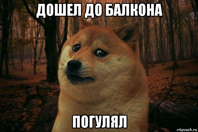 дошел до балкона погулял, Мем SAD DOGE