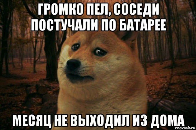 громко пел, соседи постучали по батарее месяц не выходил из дома, Мем SAD DOGE