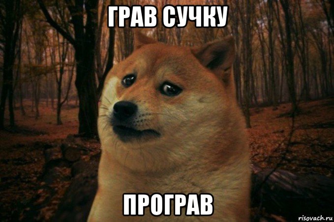 грав сучку програв, Мем SAD DOGE