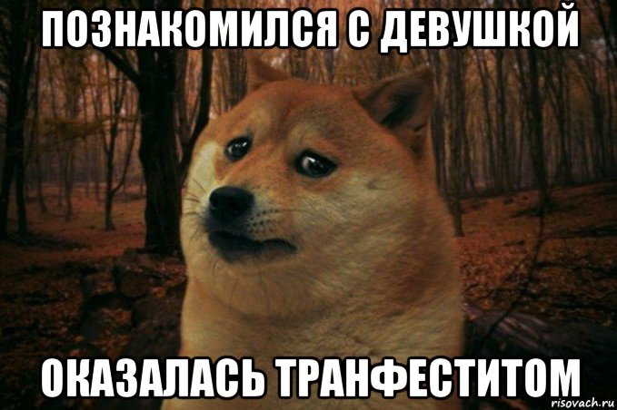 познакомился с девушкой оказалась транфеститом, Мем SAD DOGE