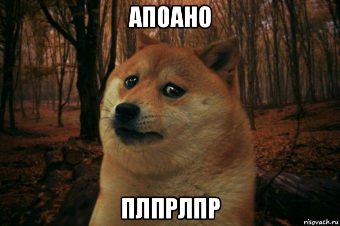 апоано плпрлпр, Мем SAD DOGE