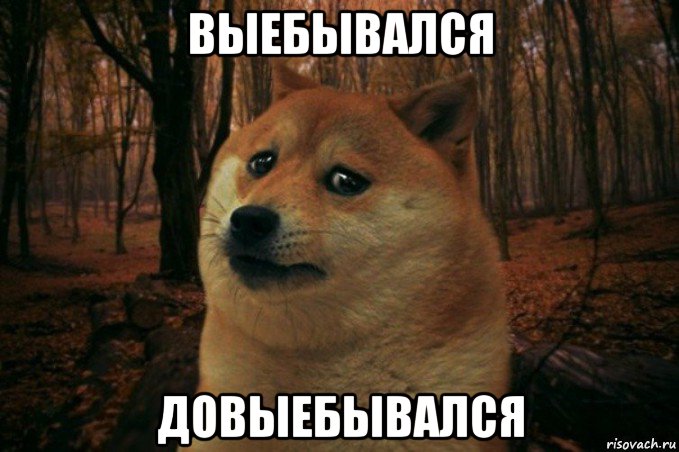 выебывался довыебывался, Мем SAD DOGE