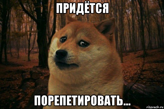 придётся порепетировать..., Мем SAD DOGE