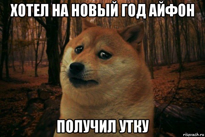 хотел на новый год айфон получил утку, Мем SAD DOGE