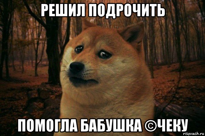 решил подрочить помогла бабушка ©чеку, Мем SAD DOGE