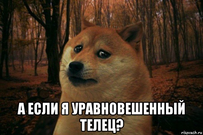  а если я уравновешенный телец?, Мем SAD DOGE