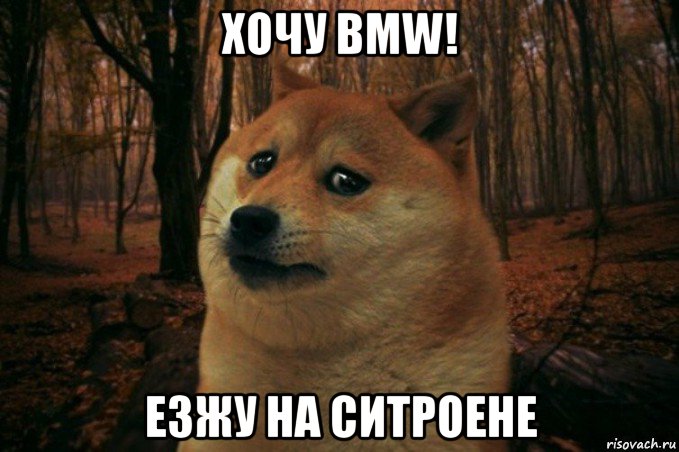 хочу bmw! езжу на ситроене, Мем SAD DOGE