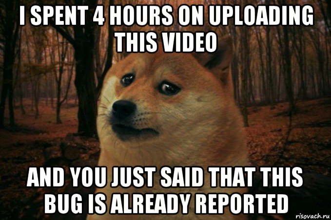 i spent 4 hours on uploading this video and you just said that this bug is already reported, Мем SAD DOGE