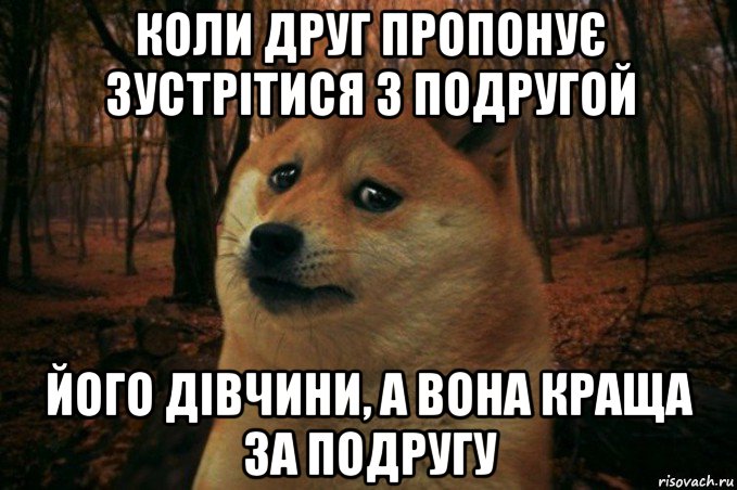 коли друг пропонує зустрітися з подругой його дівчини, а вона краща за подругу, Мем SAD DOGE